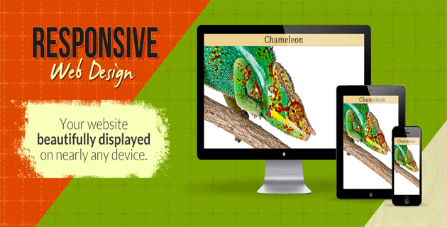 Responsive Web Design