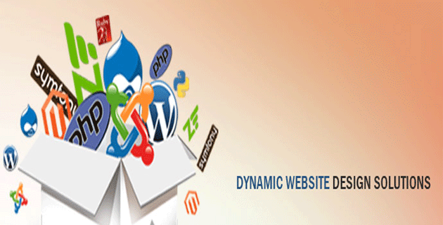 Dynamic Web Design